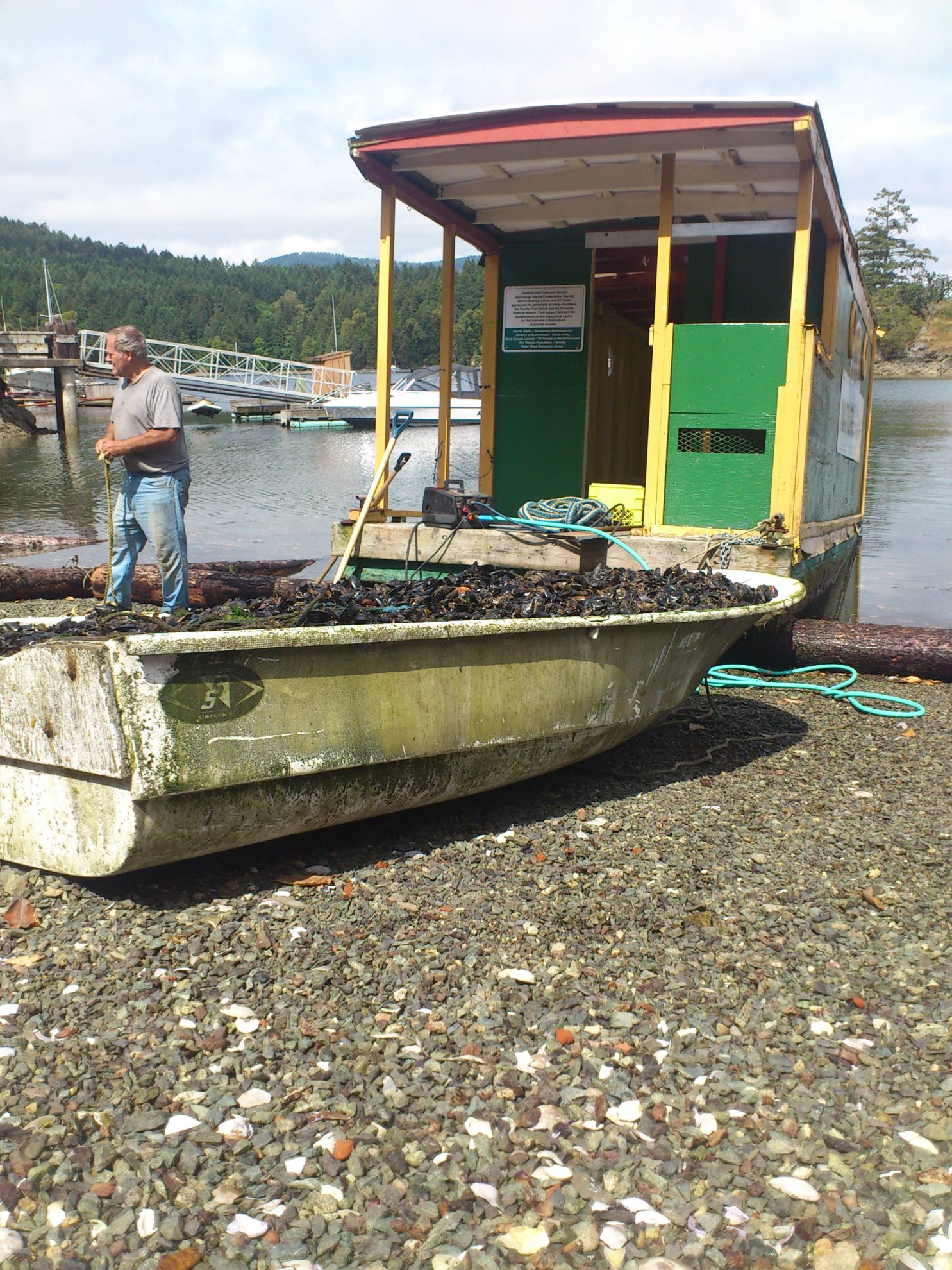 This is last seasons clean up. We removed all of the mussels to get ready for painting and made a mussel boat!